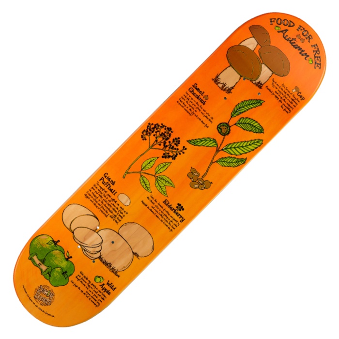 Drawing Boards - Foraging Autumn - Skateboard Deck 8.25
