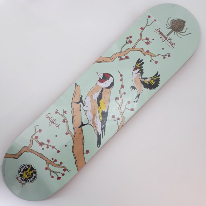 Drawing-Boards-Goldfinch-Skateboard-Deck-8